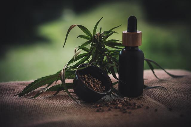cbd olej